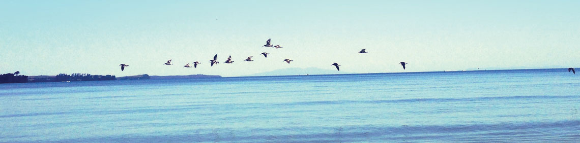 Mindfulness for Health banner