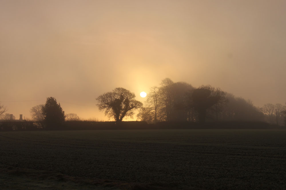 Sun Riase